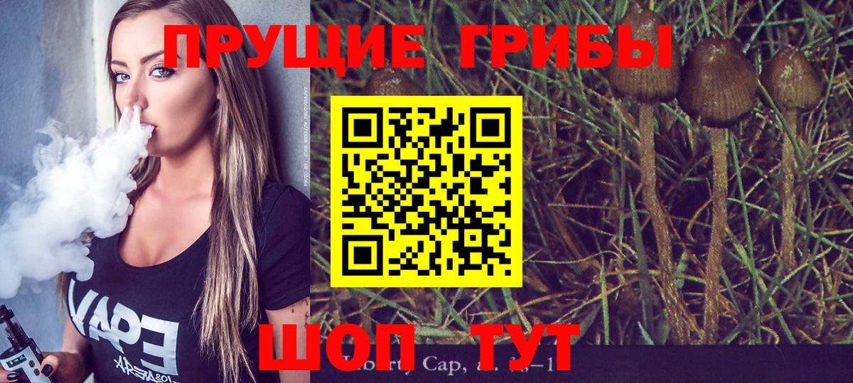 Галлюциногенные грибы MAGIC MUSHROOMS  Вход с VPN  Канаш 