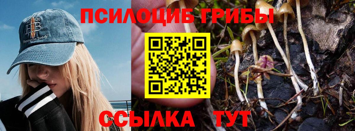 Амфетамин кристаллы  Канаш  Канабис  Вход с VPN  МЕФ кристаллы  Гашиш 