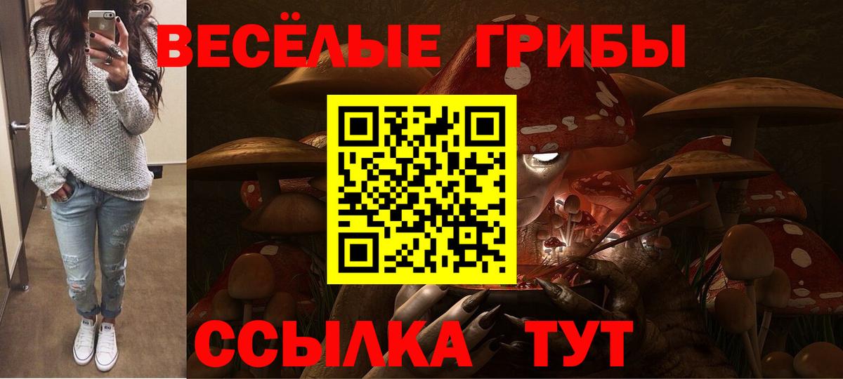 Псилоцибиновые грибы ЛСД Канаш